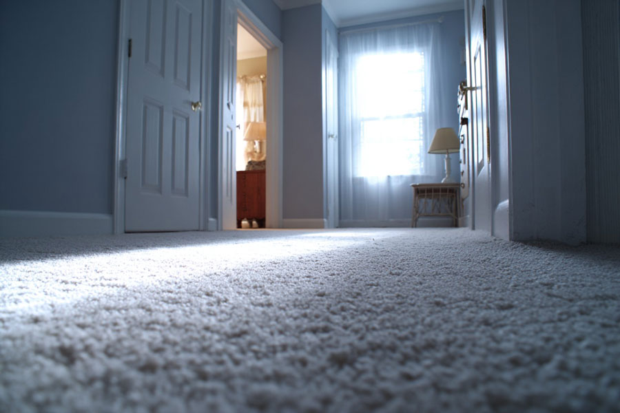 brzo-susenje-tepiha11